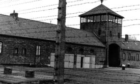 Retour d'Auschwitz - Guy Kohen