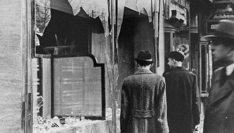 La Nuit de Cristal, les Pogroms de Novembre - Marie-Pierre Camus et Guillaume Vincent 
