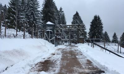 #Cérémonie : commémoration des 80 ans de la Libération du camp de concentration de Natzweiler-Struthof