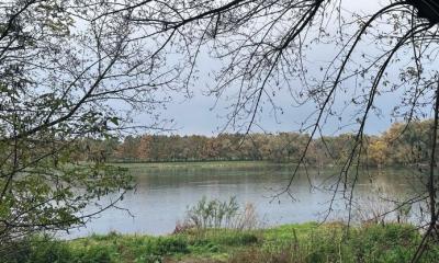 Journées d'étude : Between the Dniester and the Bug : Localised Violence and Survival Practices in Occupied Transnistria (1941-1944)