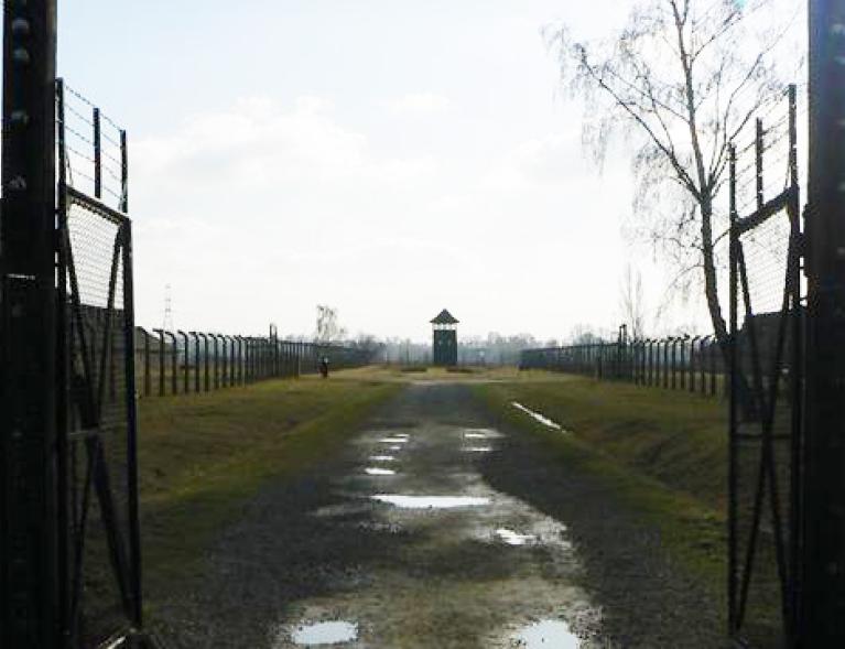 #Commémoration : Journée internationale à la mémoire des victimes de la Shoah - 2025